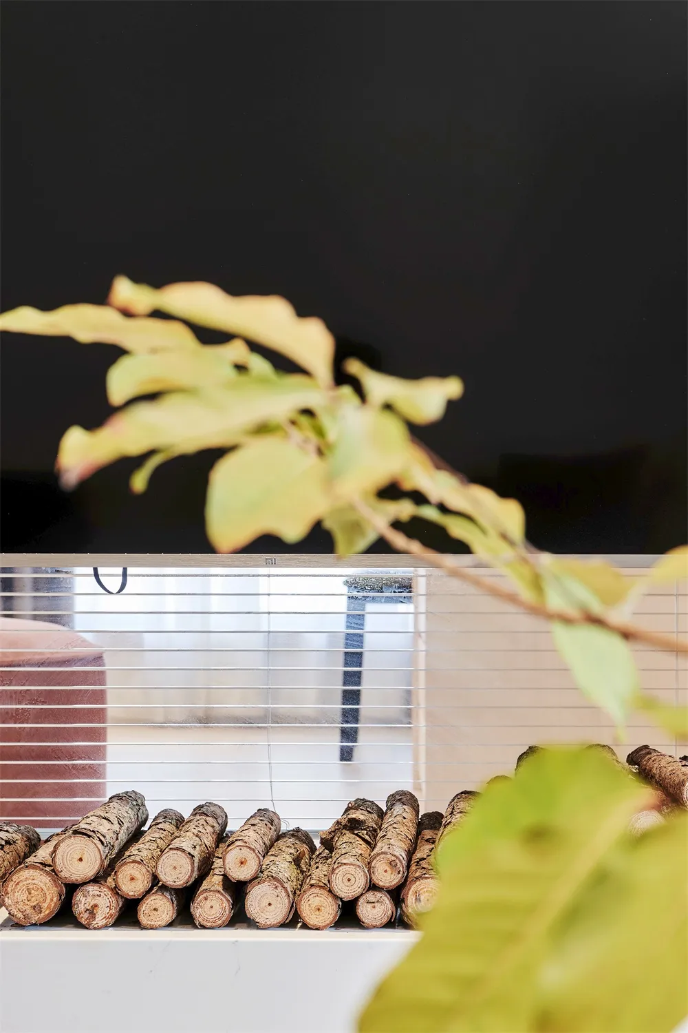 窗台上擺放著木頭原木與綠色植物葉片。