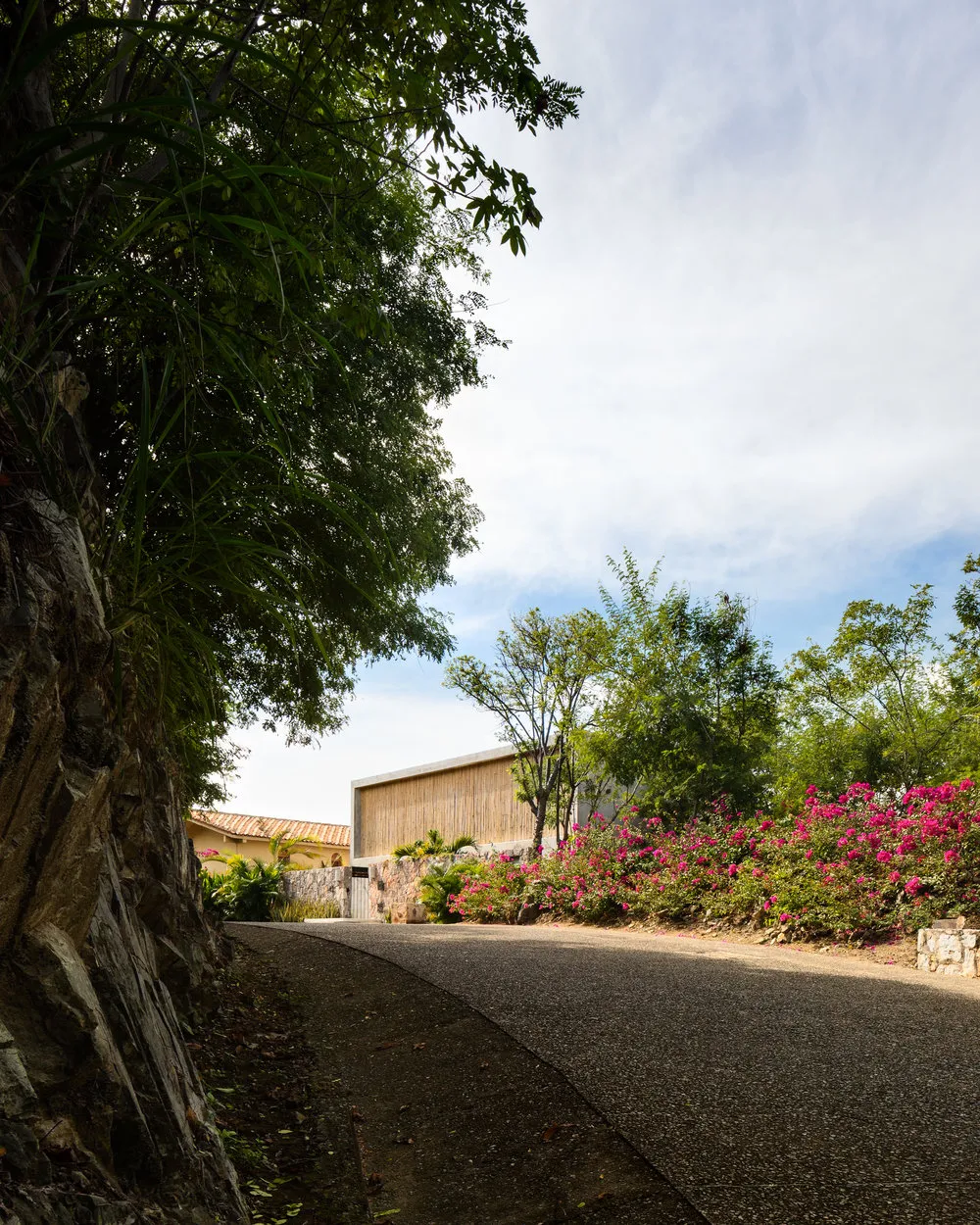 A curved, wooden pathway bordered by pink flowers and lush greenery.