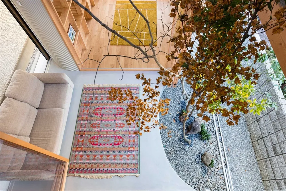 Modern living room with a wooden floor, colorful rugs, gravel garden with a tree, and a comfortable seating area.