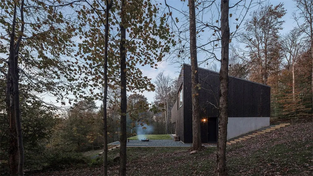 A modern black-clad house nestled among trees with a paved path and a lit entrance.