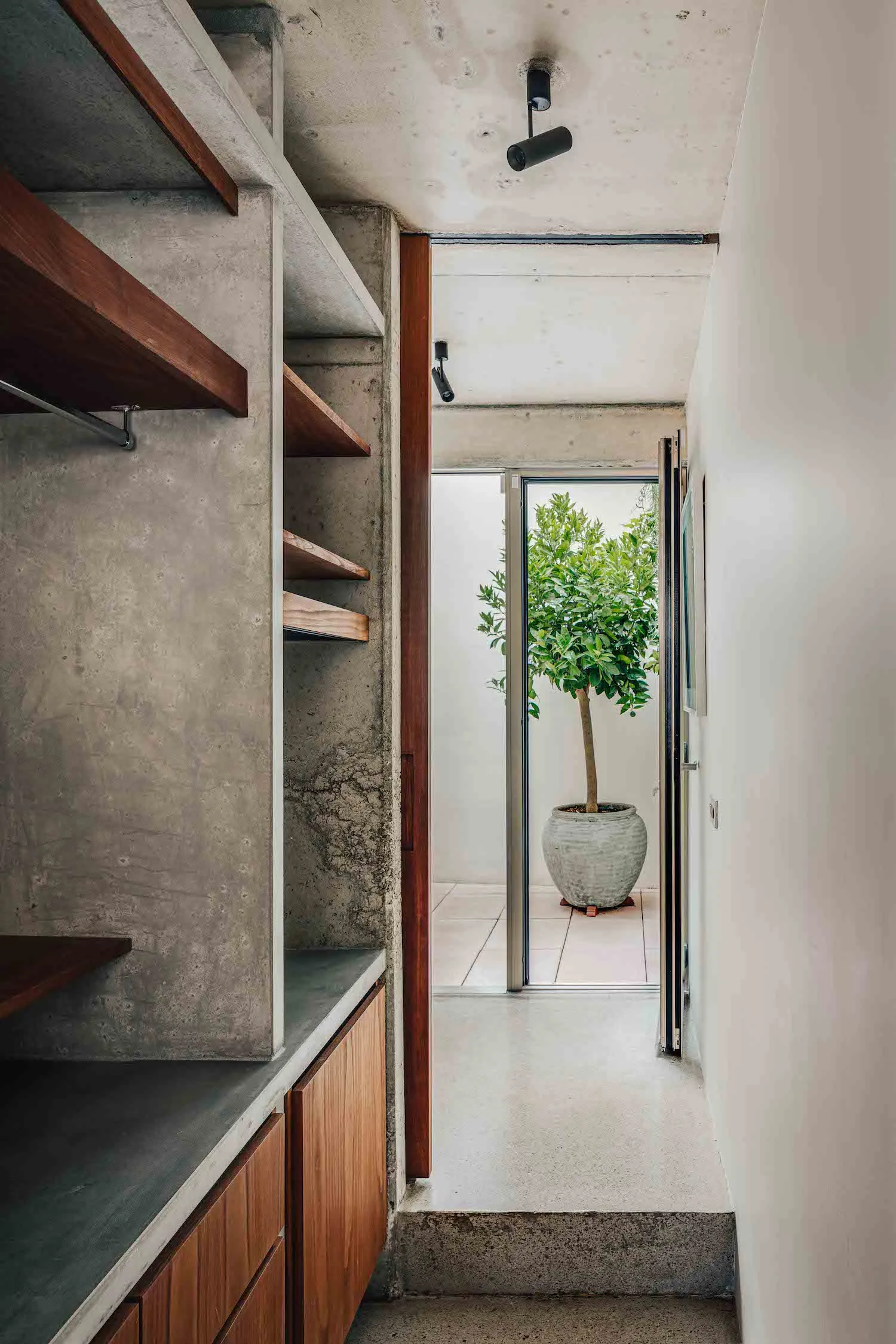 Concrete closet interior with wooden shelves and a green plant in a pot in the background.