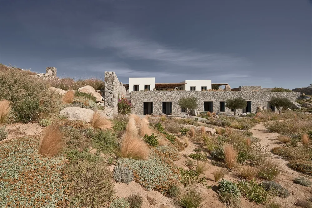 A modern house with stone walls and a flat rooftop surrounded by wild vegetation.