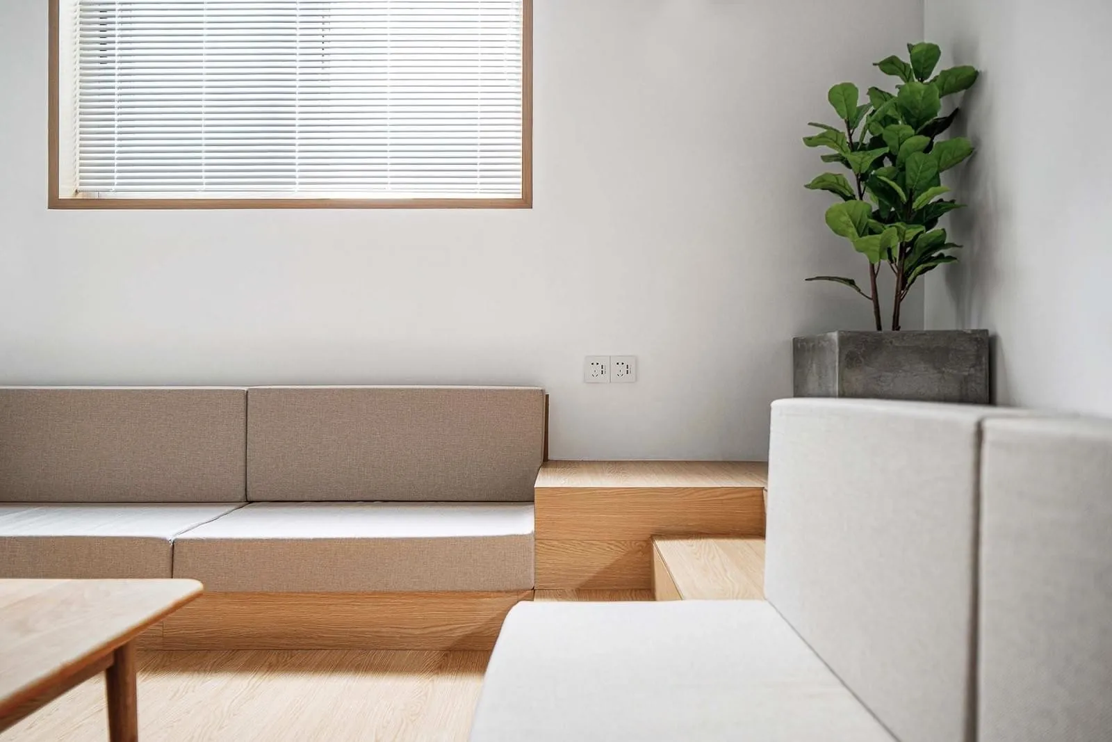 Minimalist living room with wood plywood, cushions, and plants