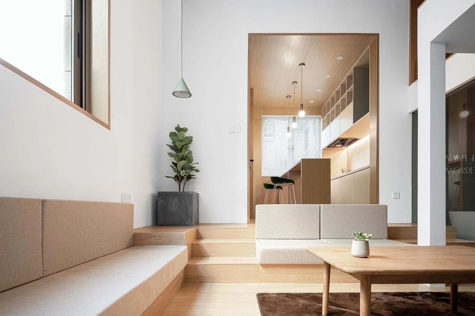 Modern minimalist living room with wooden furniture and a potted plant