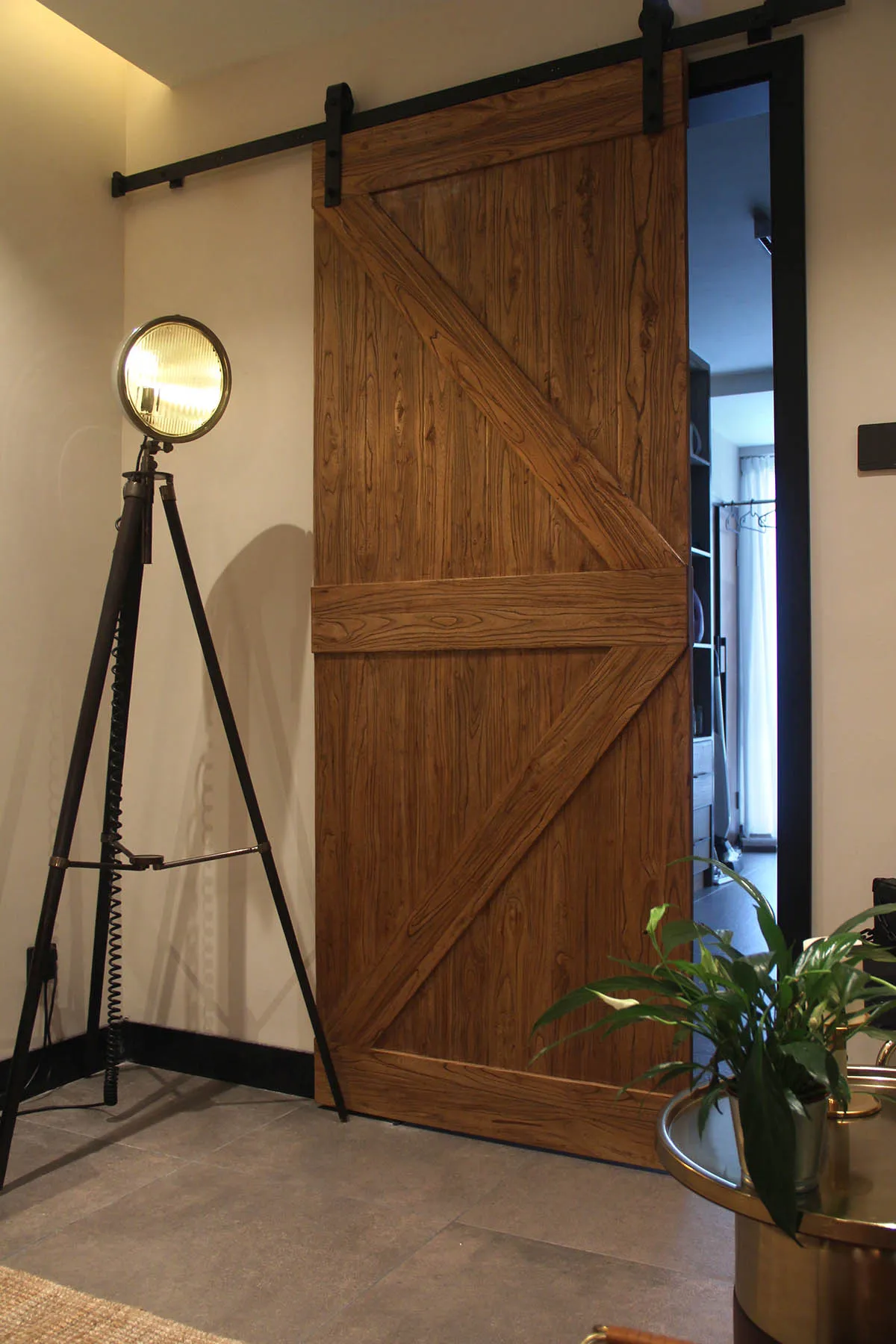 A wooden barn door with industrial-style lighting and a green plant