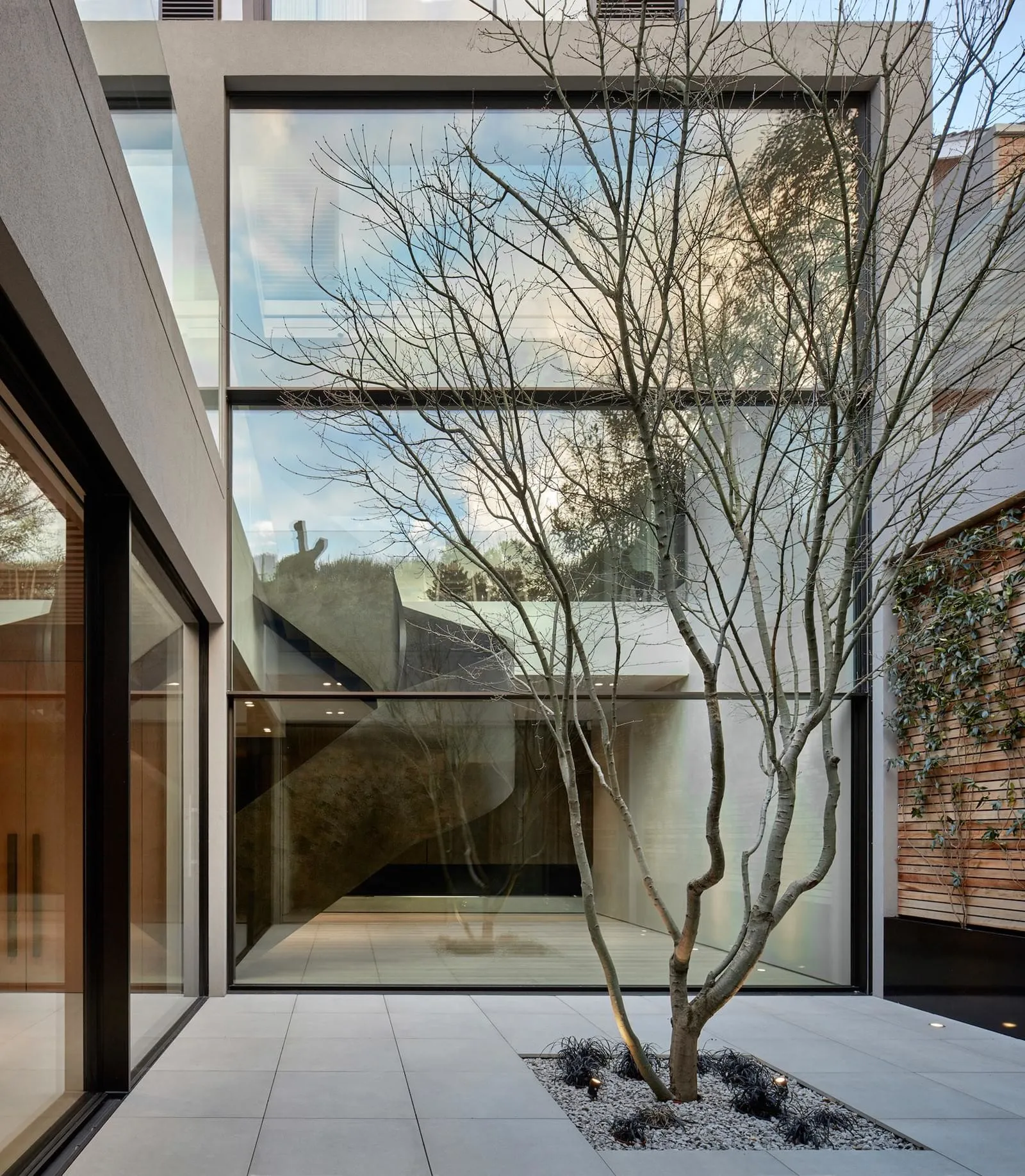 A modern exterior featuring glass walls and a tree in a courtyard.