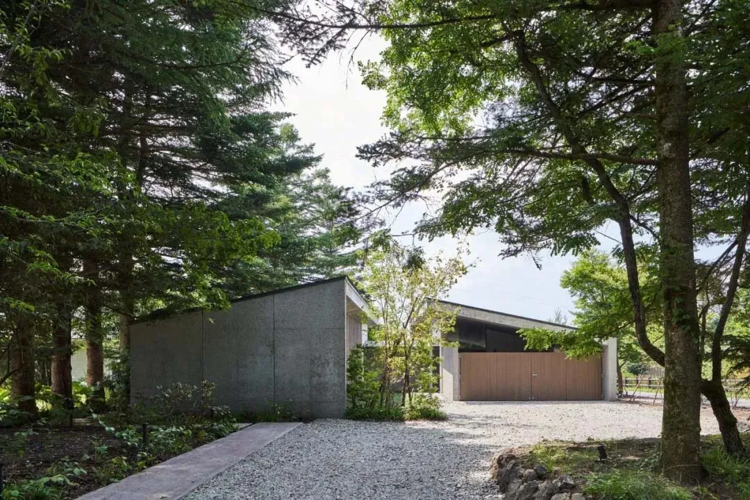 A modern residential home with concrete walls, glass windows, and wooden doors surrounded by green trees.