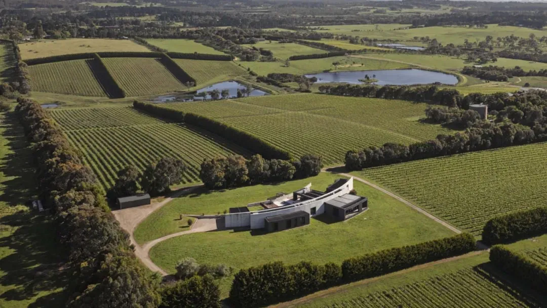 Aerial view of a modern vineyard with green fields, buildings, and a pond.