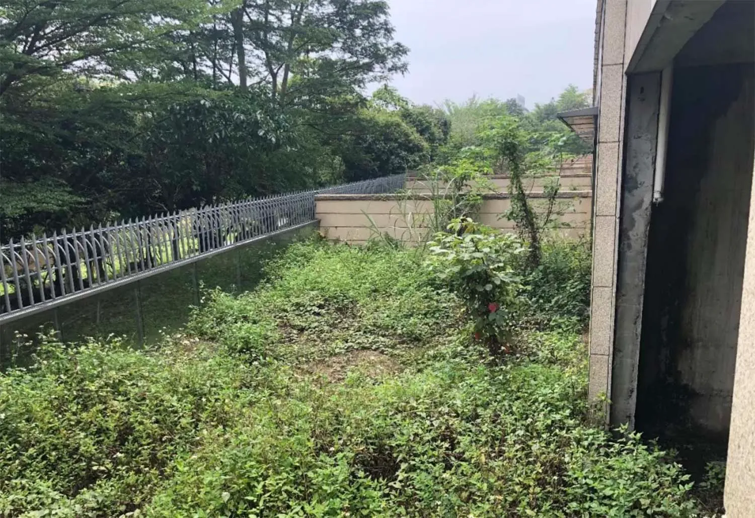 混凝土花園區域周圍種植綠色植物,環繞金屬圍欄與建築物。