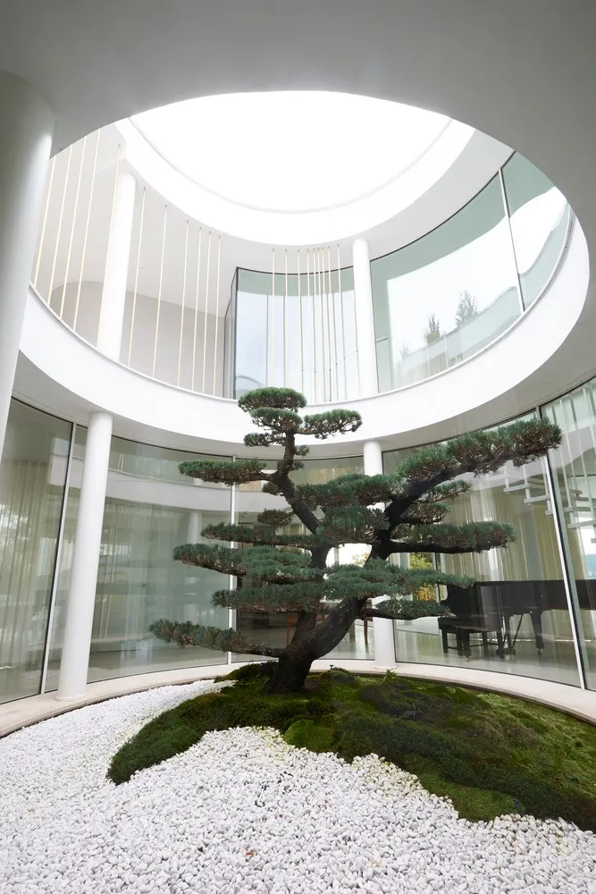 A minimalist interior with concrete walls and a round room featuring a bonsai tree in a moss bed.