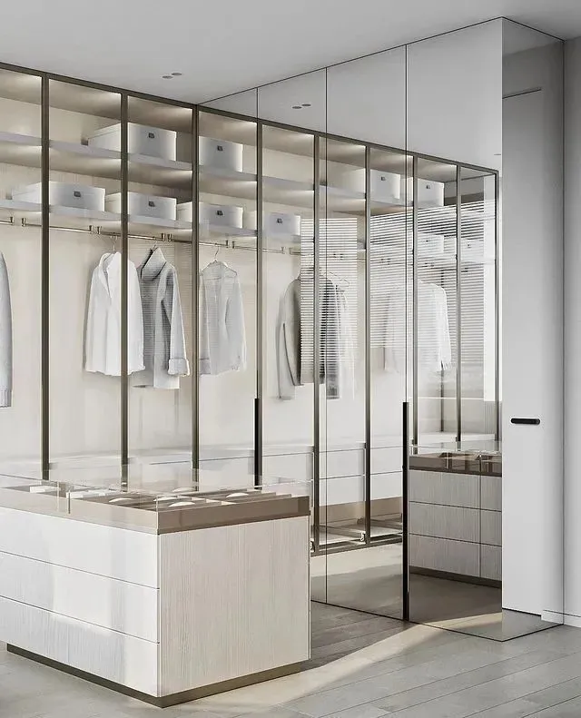 Modern minimalist closet featuring glass-fronted wardrobes with wood accents and organized clothing.