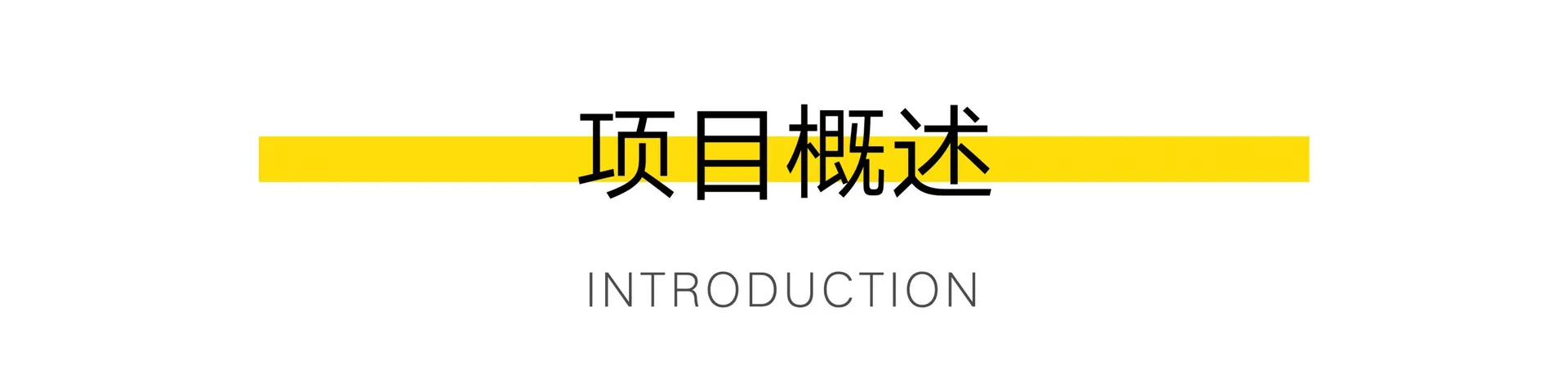 以文字呈現的專案概覽內容