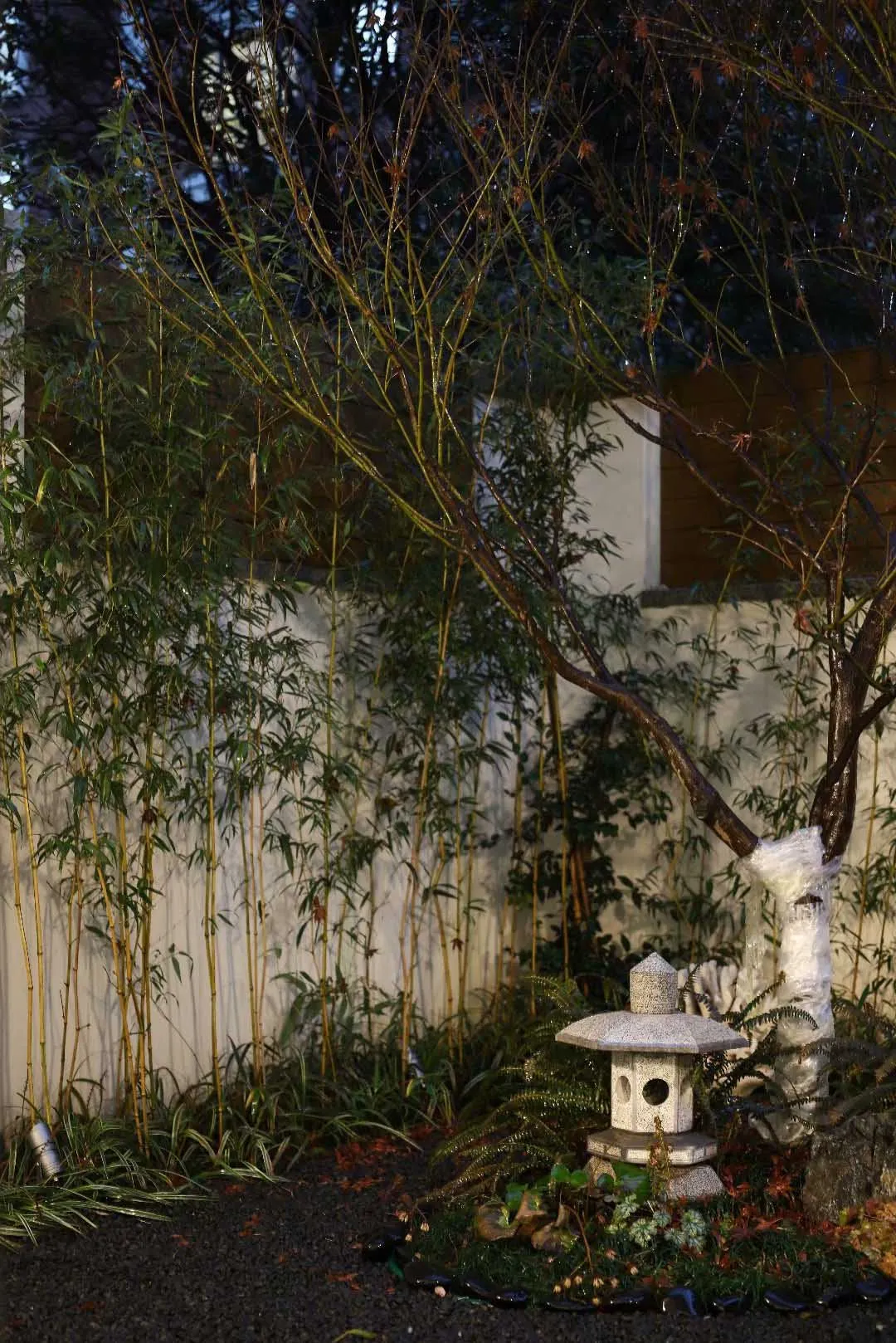 A minimalist garden featuring concrete, stone, and bamboo elements.