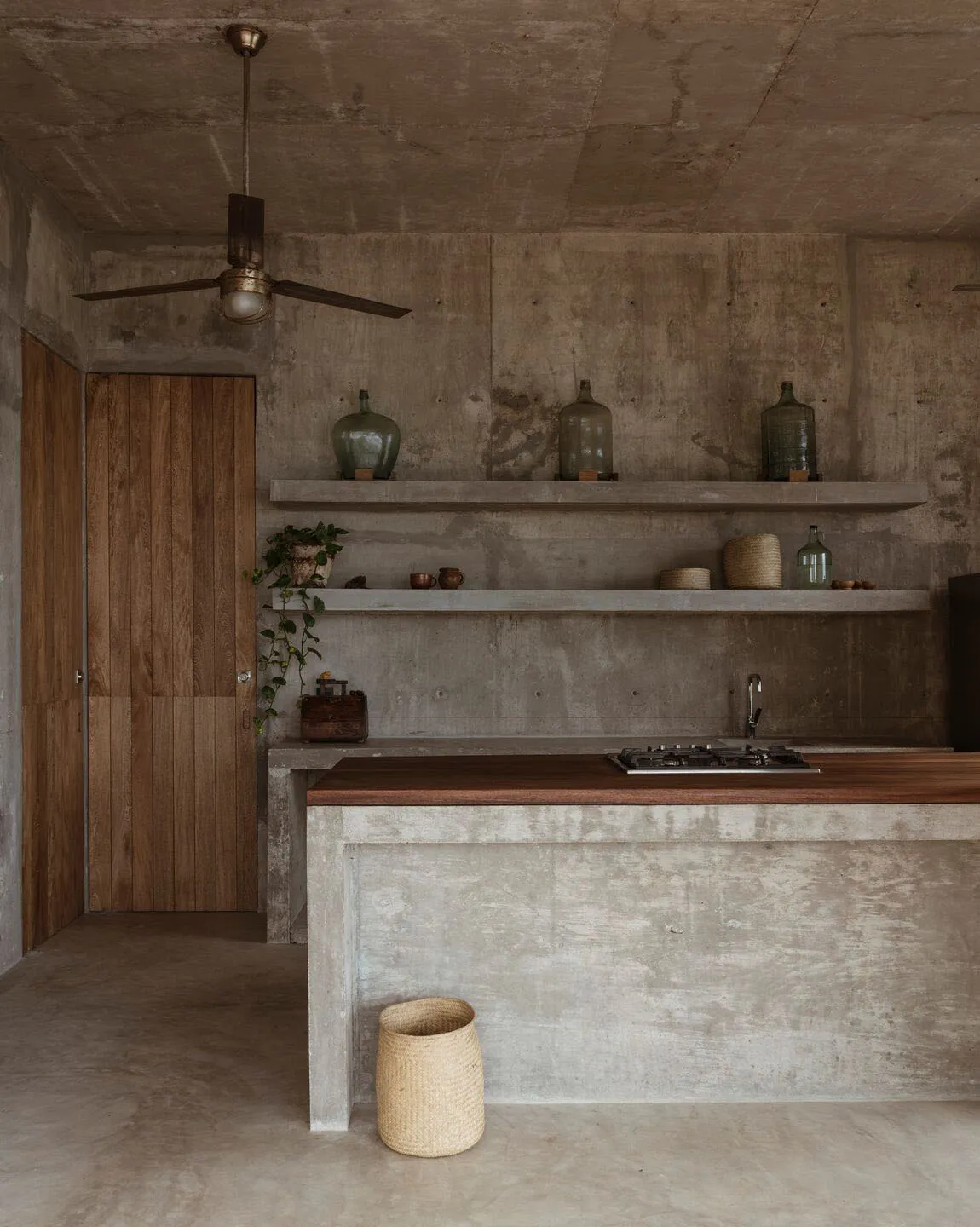 A minimalist kitchen with concrete walls, a wooden countertop, and floating shelves displaying green bottles and plants.