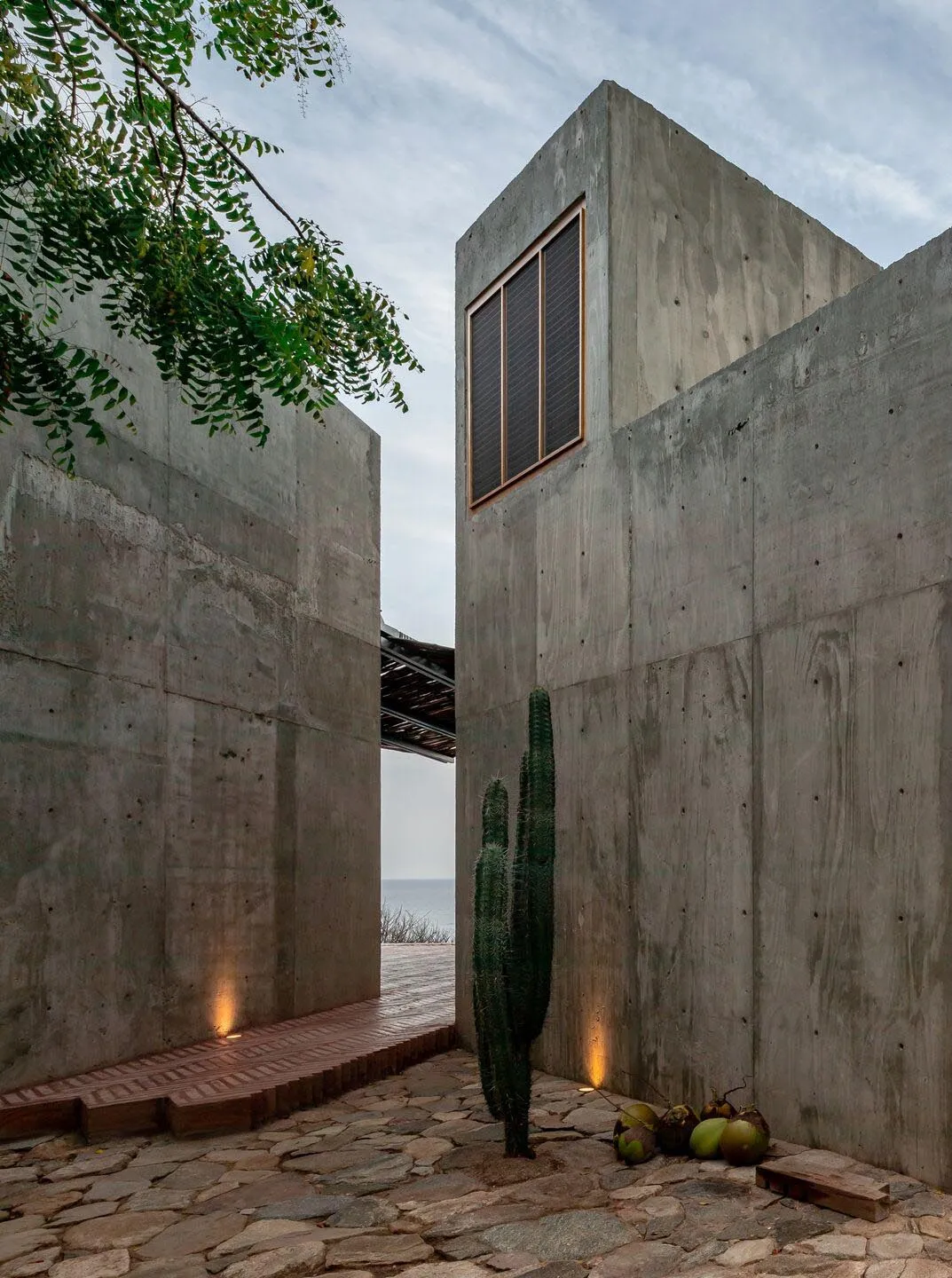 A minimalistic residential interior with concrete walls and a cactus plant.