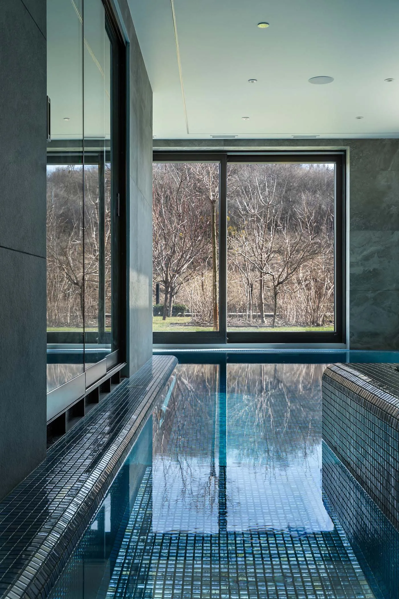 Modern indoor swimming pool with glass walls and a view of bare trees through a large window.