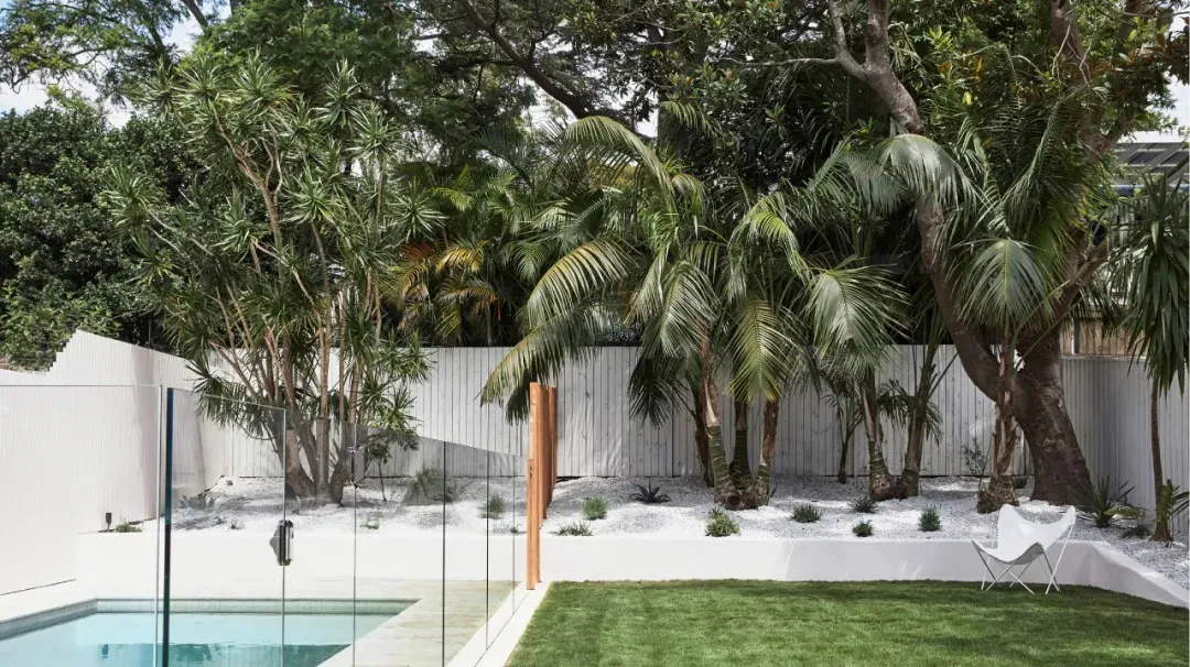 Modern poolside area with white stonework, glass fencing, and lush greenery including palm trees.