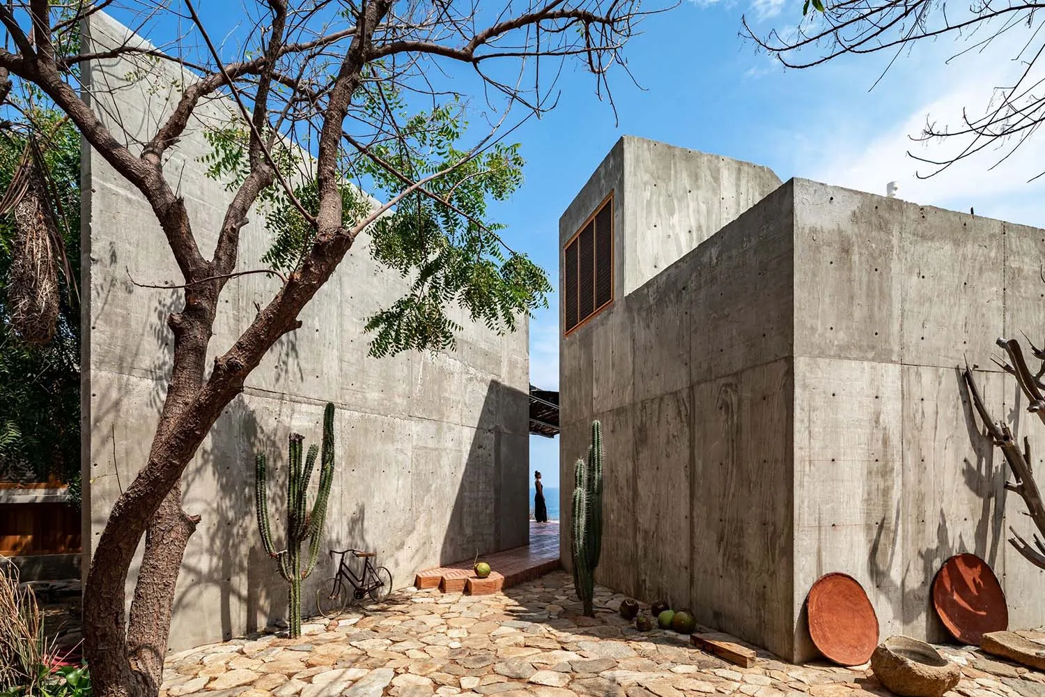 Modern residential exterior walls made of concrete, featuring a cobblestone pathway, cacti, and a bicycle.