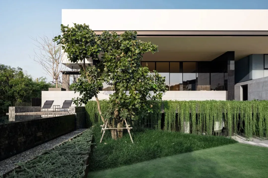 Modern residential house with glass and concrete exterior