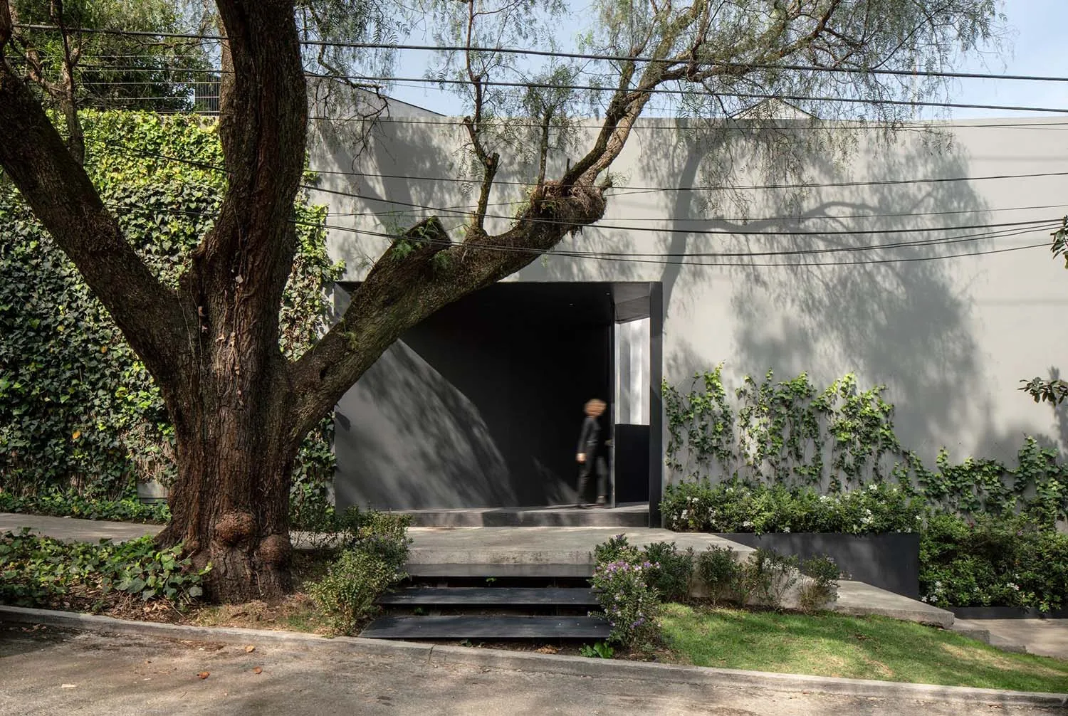 現代住宅建築前方的混凝土入口通道，搭配綠意植物與樹木。