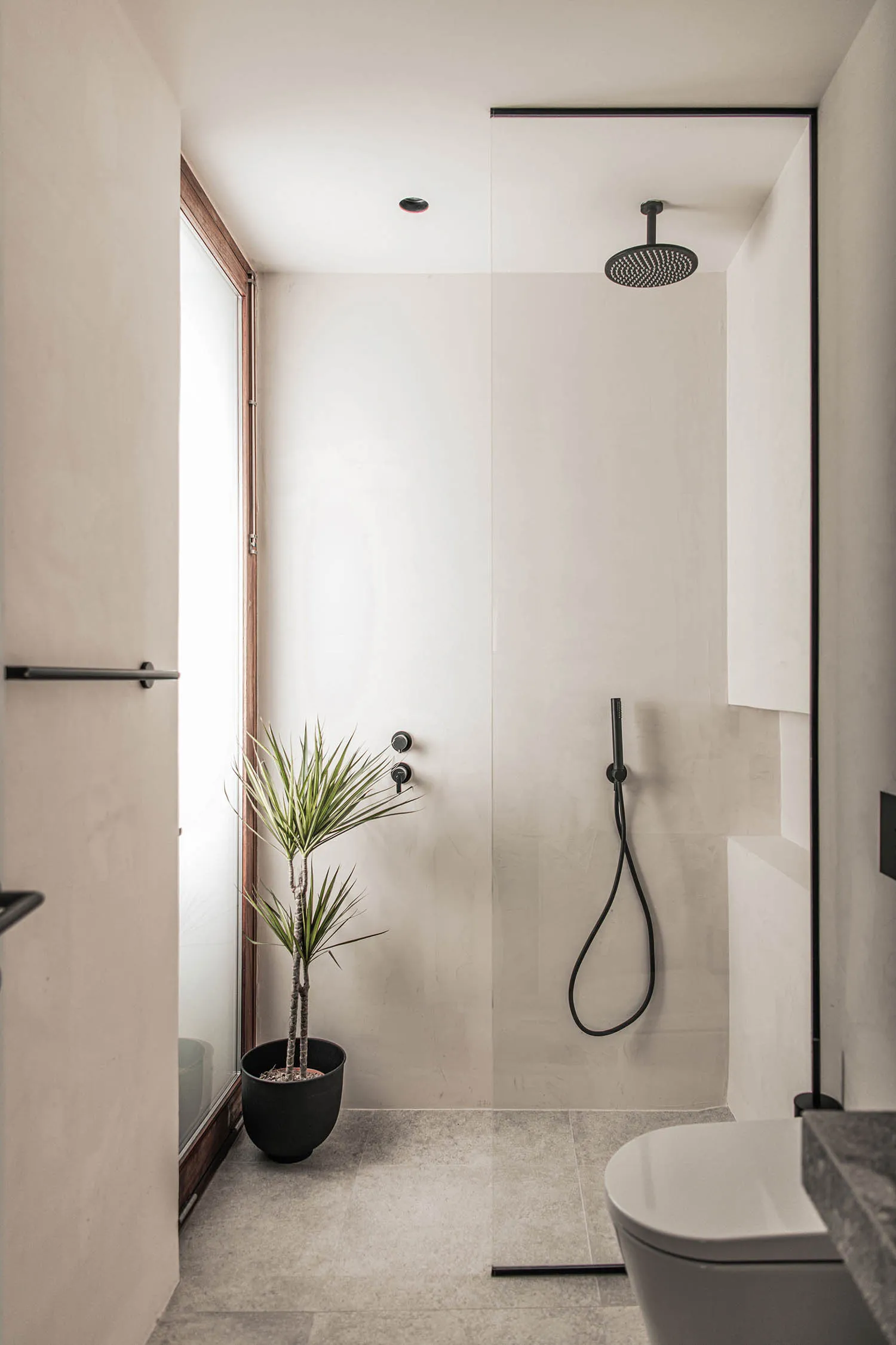 Modern bathroom with concrete tile walls, minimalist shower setup, and a tall house plant.