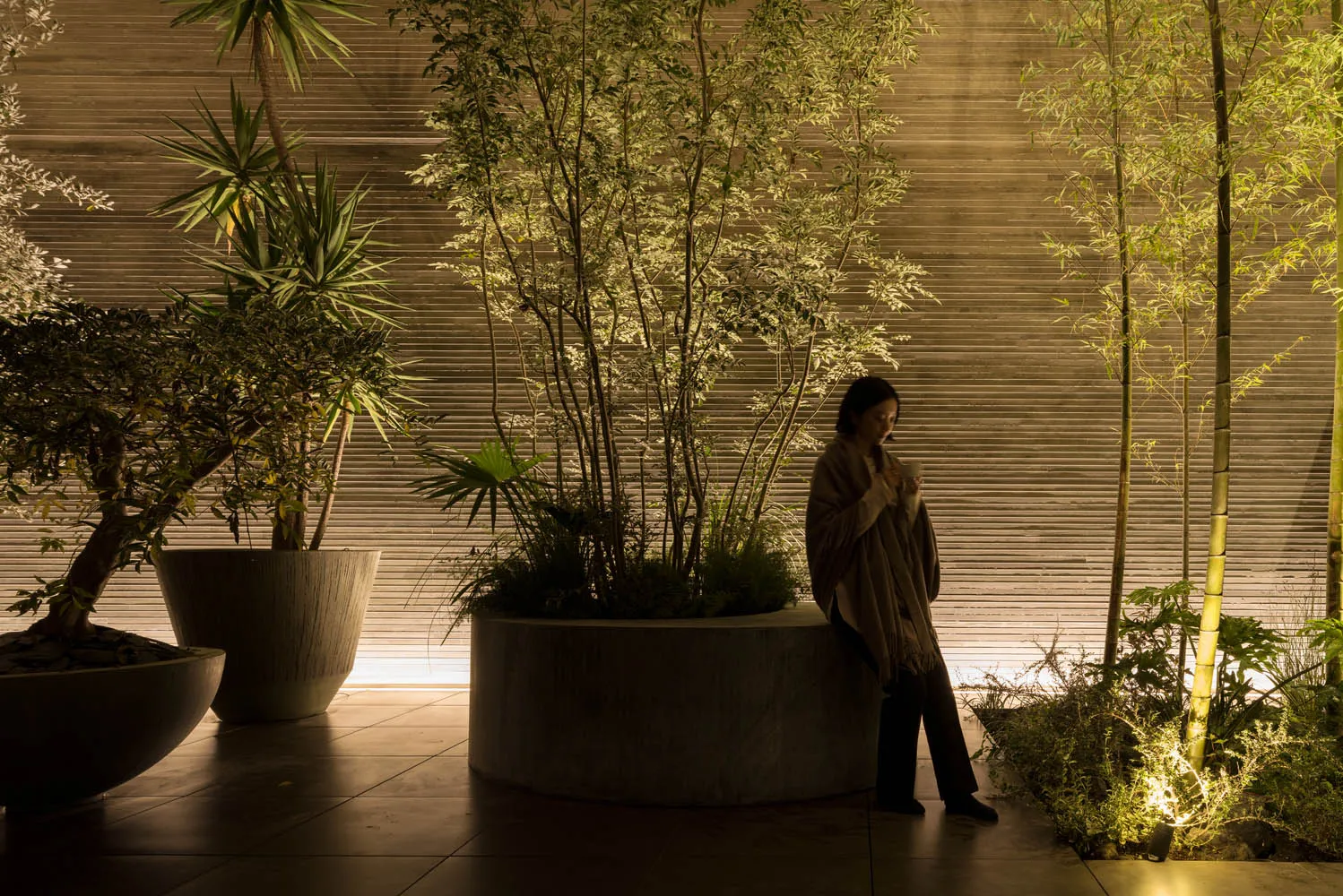 A modern interior space illuminated by trees, with a person standing near a large planter.