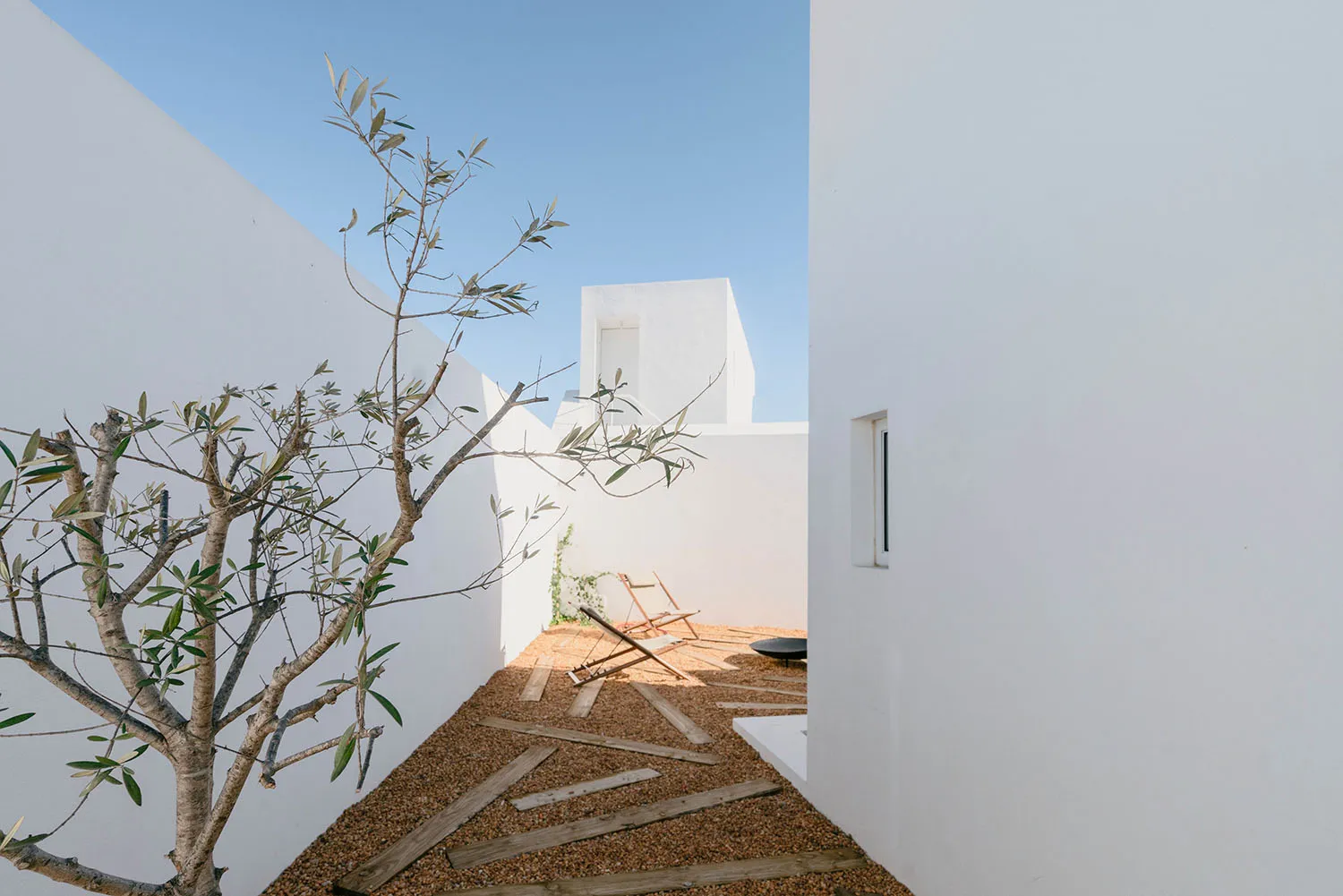 Minimalist patio with concrete floor, wooden chairs, and a small olive tree.