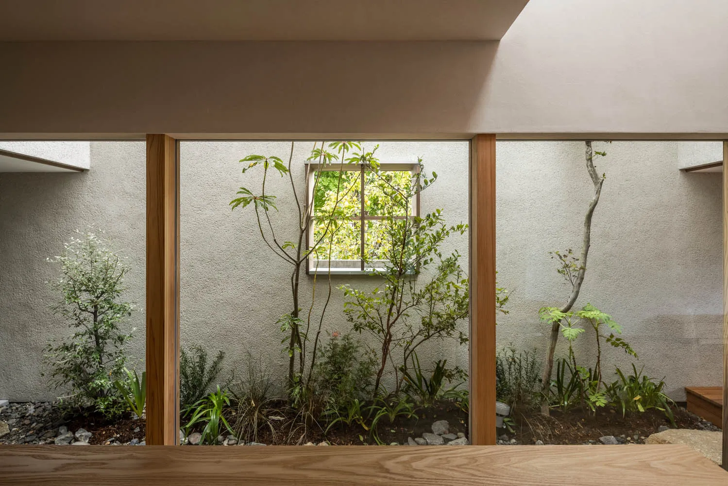 A minimalist interior with a glass window and green plants.