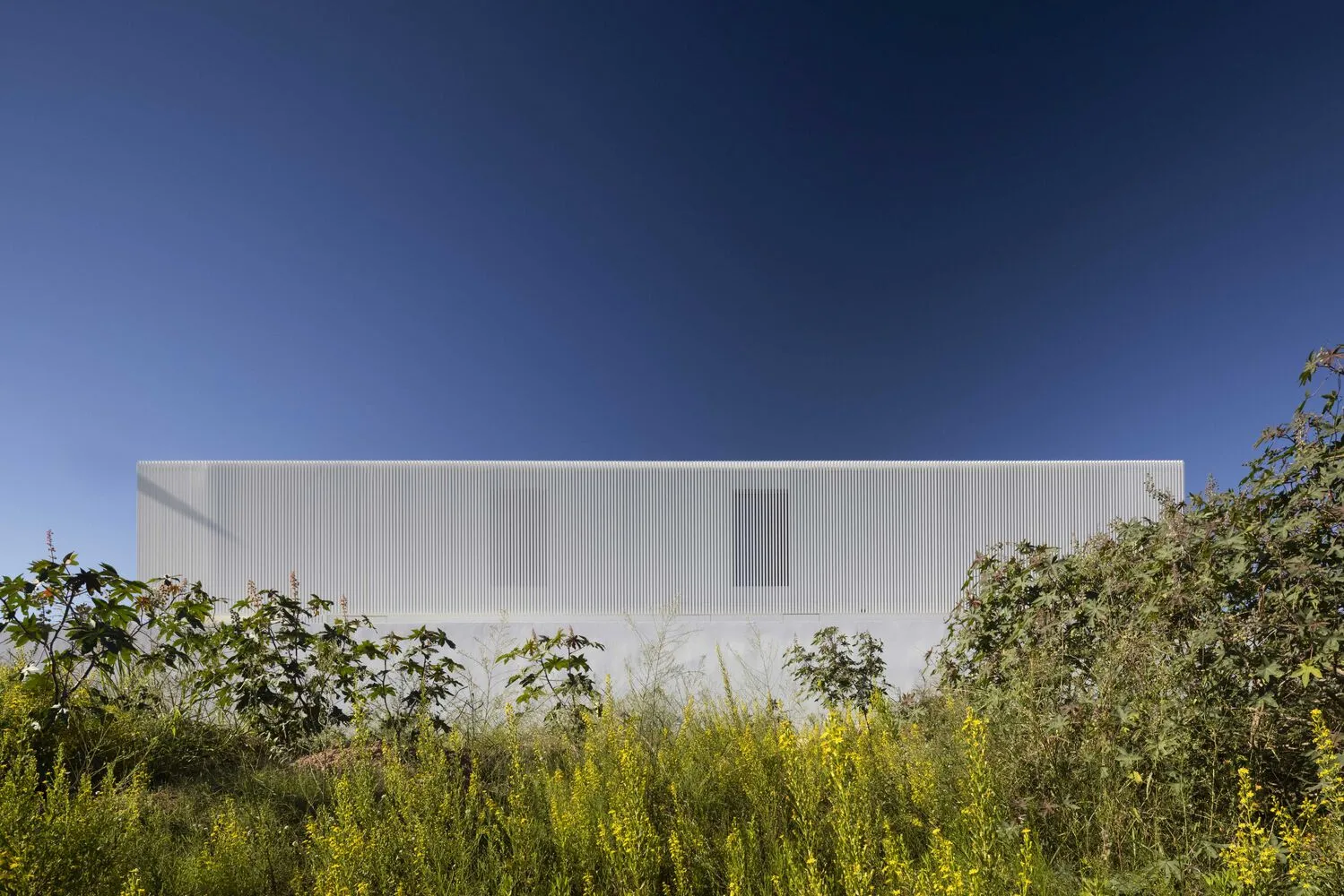 Modern building with a metal-clad exterior
