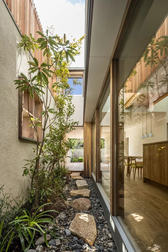 現代住宅花園,搭配木質牆面、石板步道與綠意植栽。
