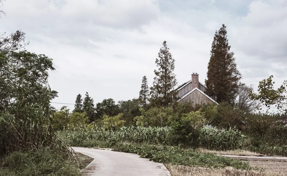 A rustic rural house surrounded by green vegetation and a pathway leading to it.