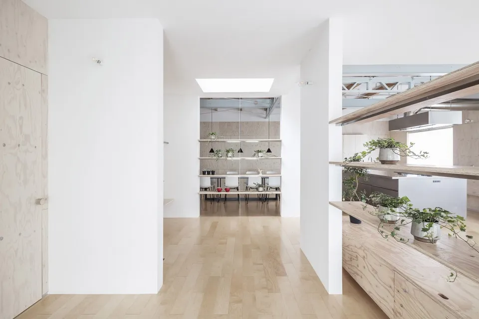 A modern minimalist kitchen with wooden flooring and white walls featuring a skylight and green plants.