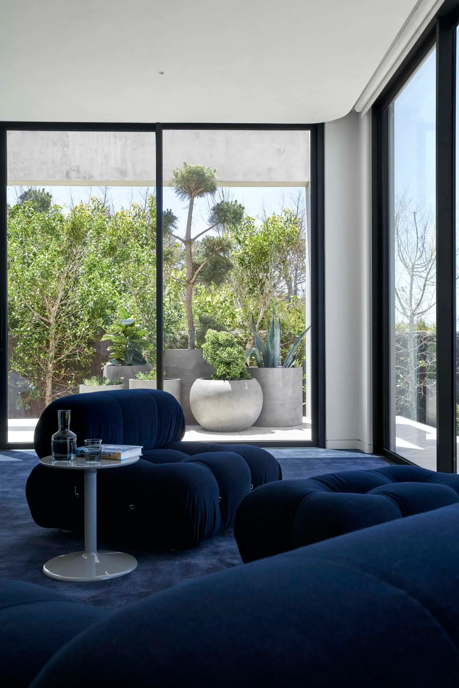Modern living room featuring a blue sofa and potted plants outdoors