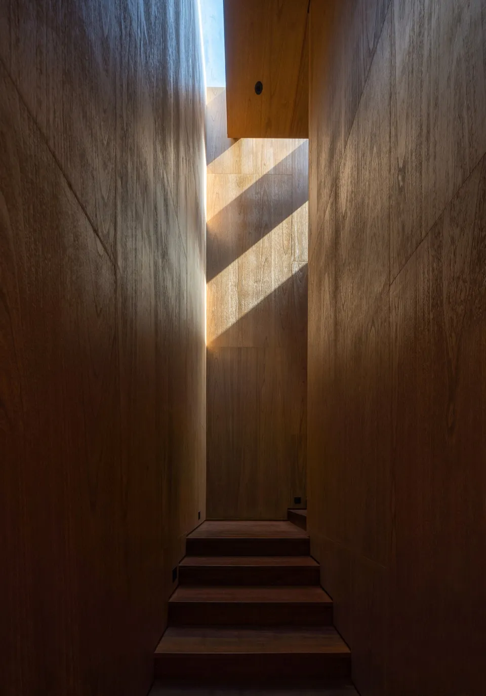 Wood paneling staircase in a minimalist interior design setting