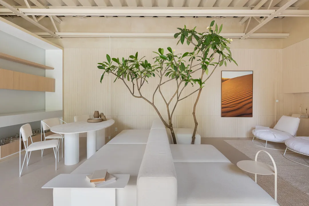 A modern minimalist living room with white furniture and a green plant.