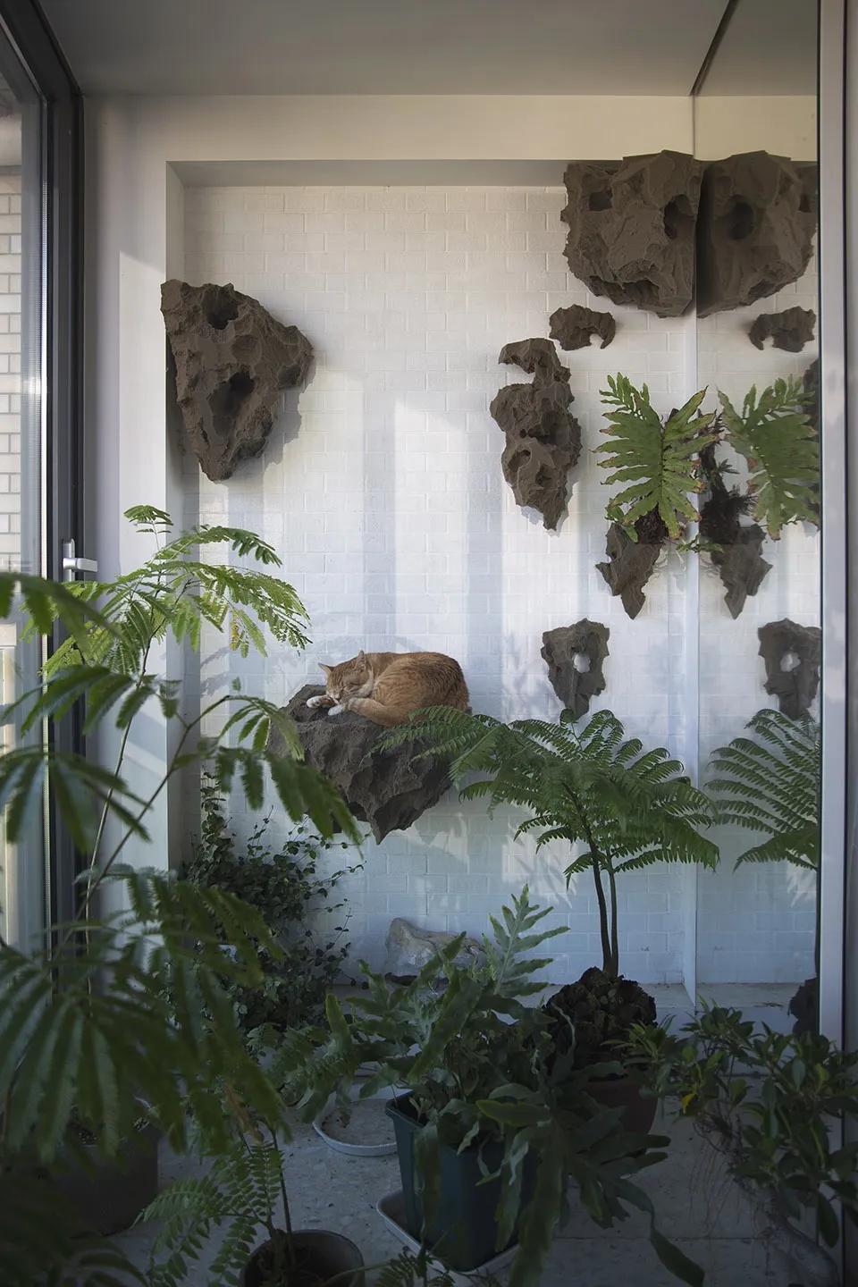 A cat sleeping peacefully amidst green plants and features resembling rock holes in a white-brick wall