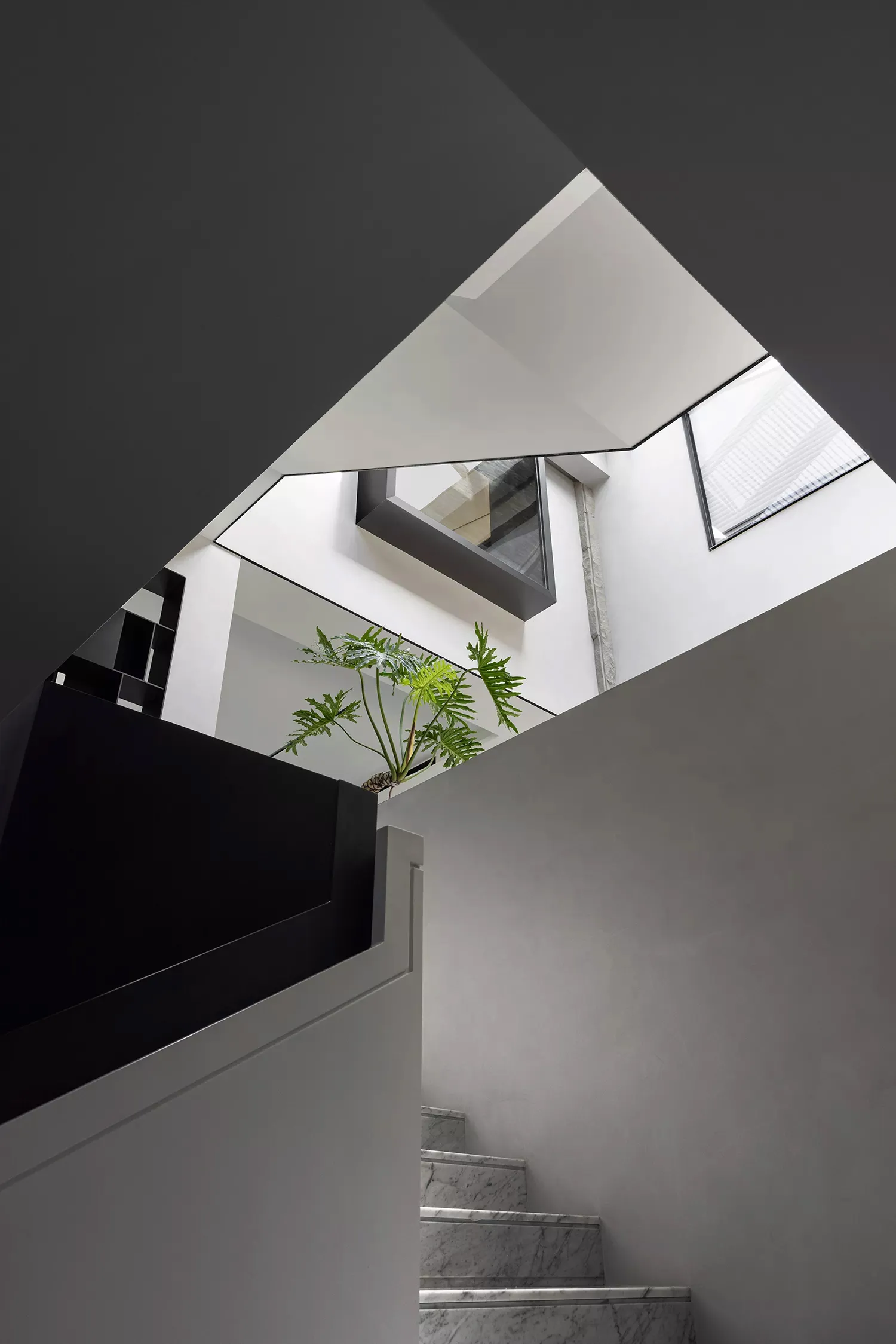 A modern interior space featuring a concrete staircase with a plant in the background.