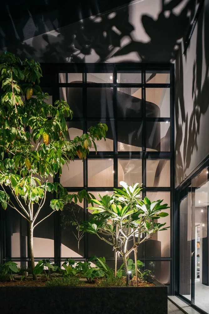 A modern retail space featuring potted plants and a large window with a grid design.