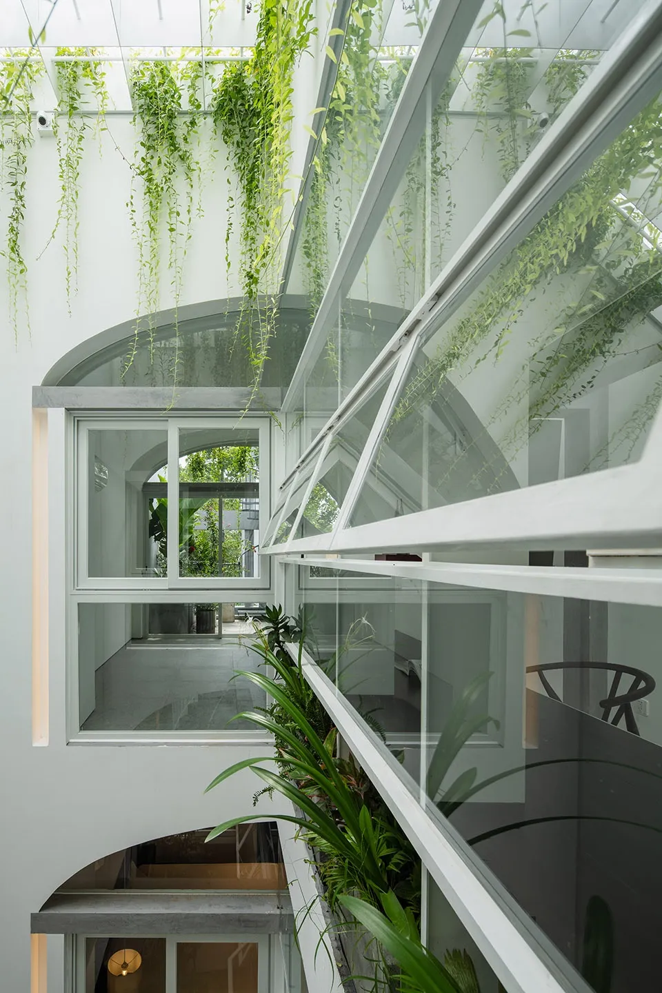 Modern greenhouse with glass walls and green plants inside