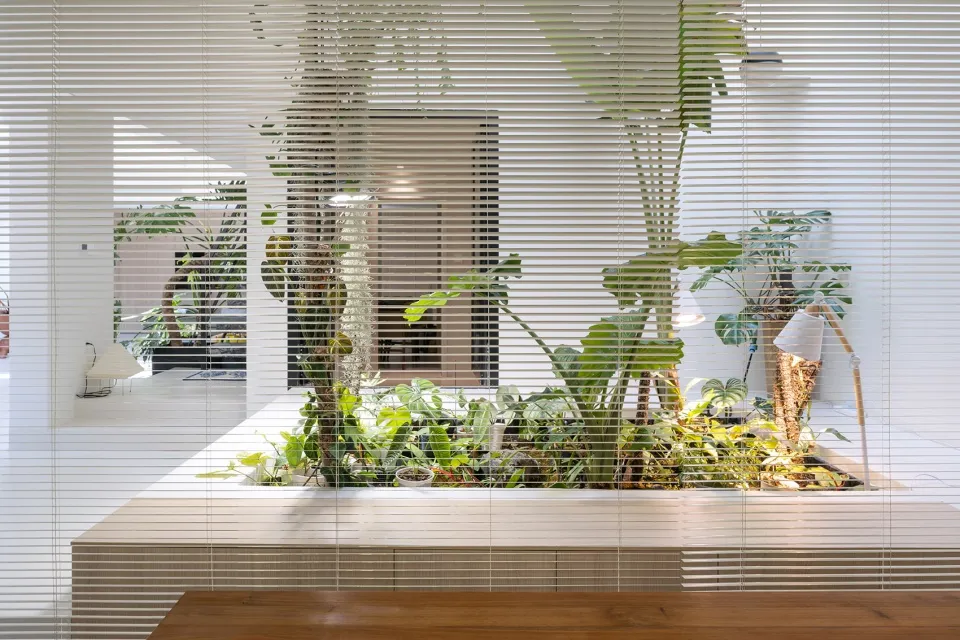 Minimalist design featuring an indoor garden with wooden elements and green plants.