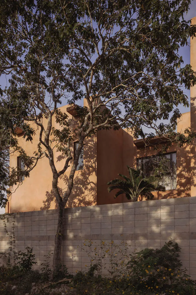 A modern exterior of a house with concrete walls and greenery