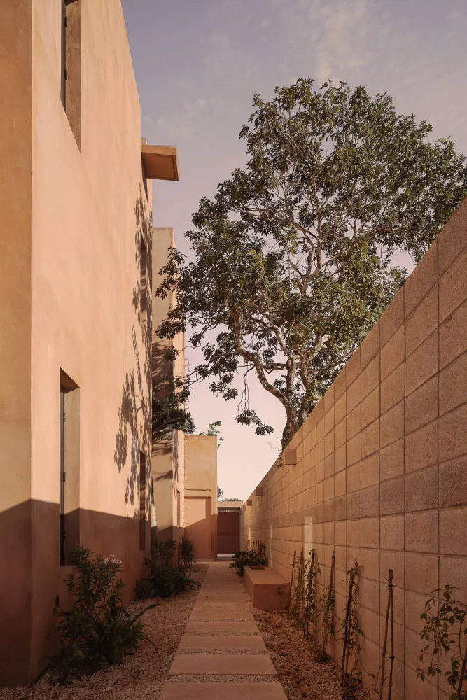 Concrete pathway surrounded by greenery in a modern architectural setting.