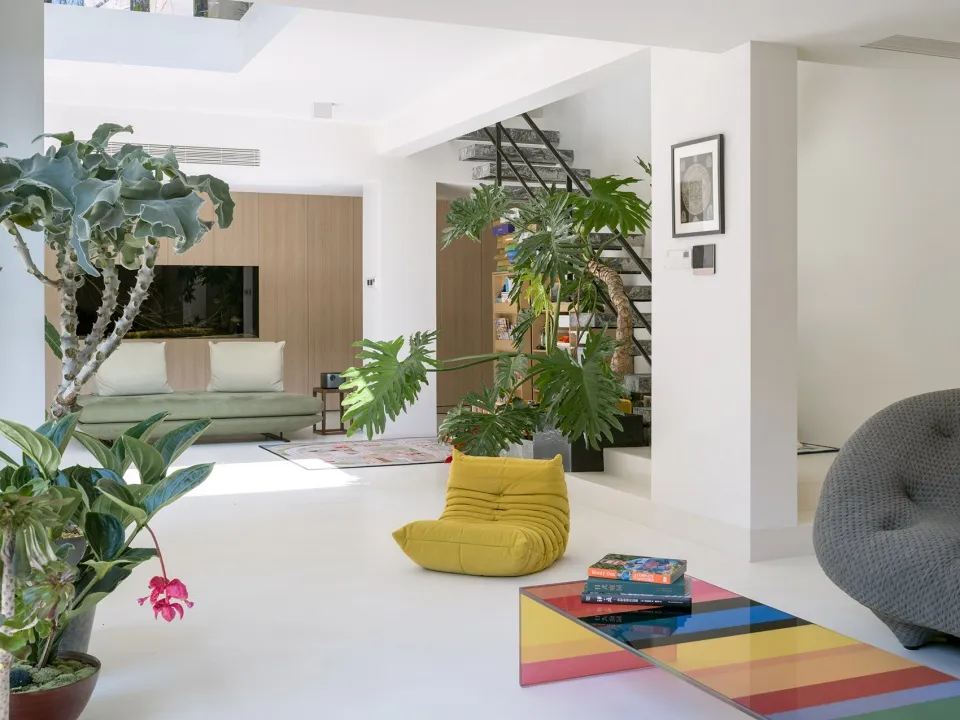 Modern living room with mixed materials and plants.