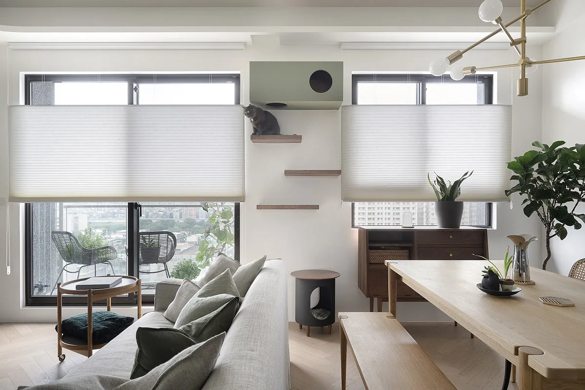 Modern residential living room featuring contemporary design with soft furnishings, wooden furniture, and a cat climbing shel