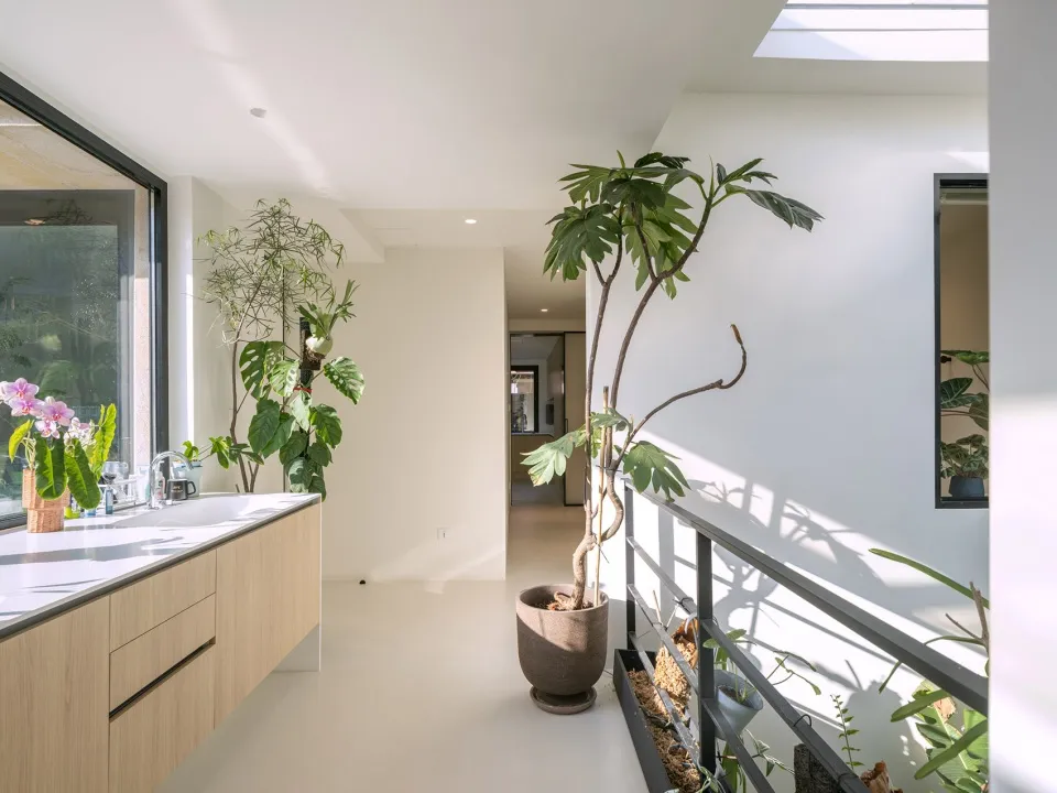 A minimalist home interior with natural bamboo plants and a cement floor.