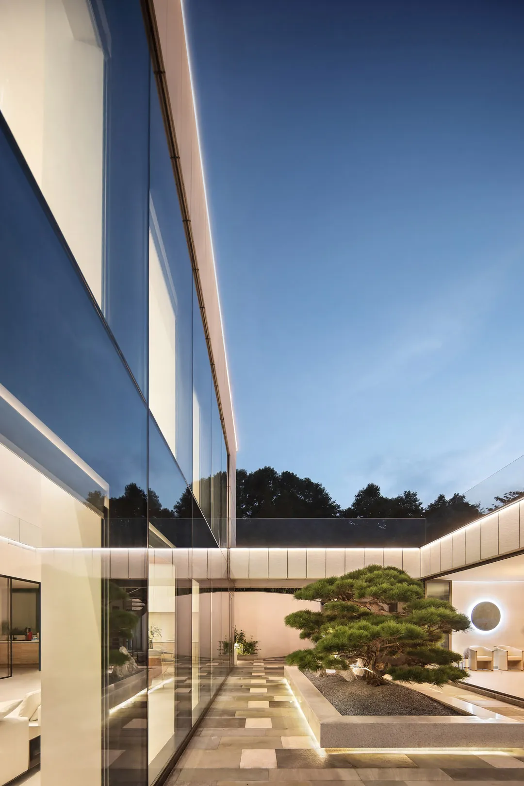 A glass-walled interior space with a single pine tree on a gravel bed.