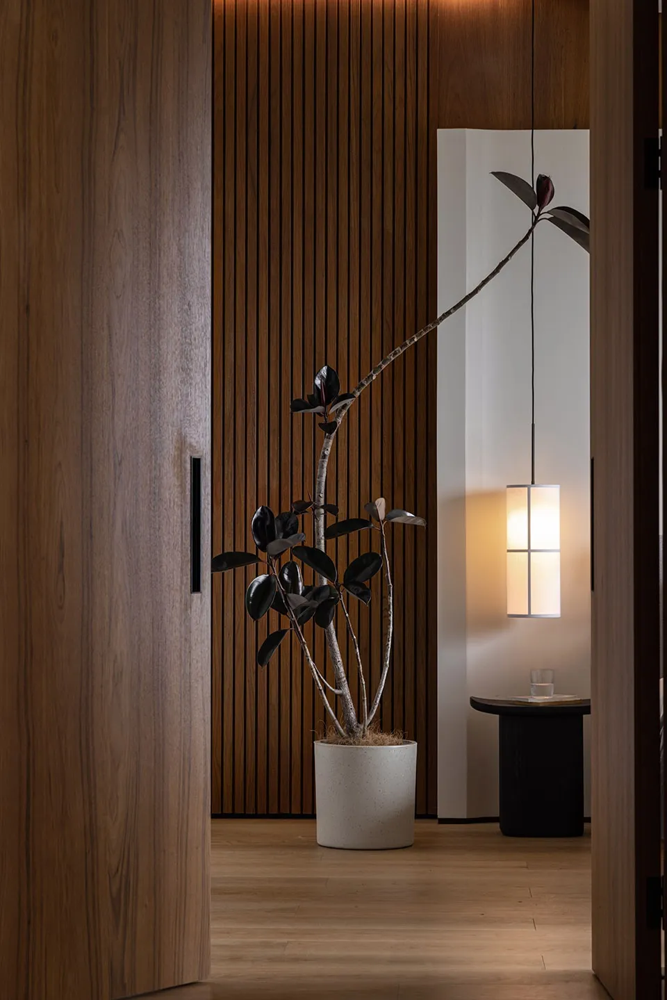 A modern residential interior featuring wood paneling and potted plants.