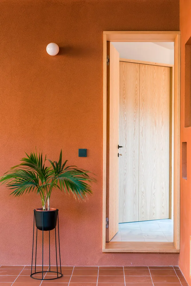Minimalist entryway featuring a wooden door and a green plant.