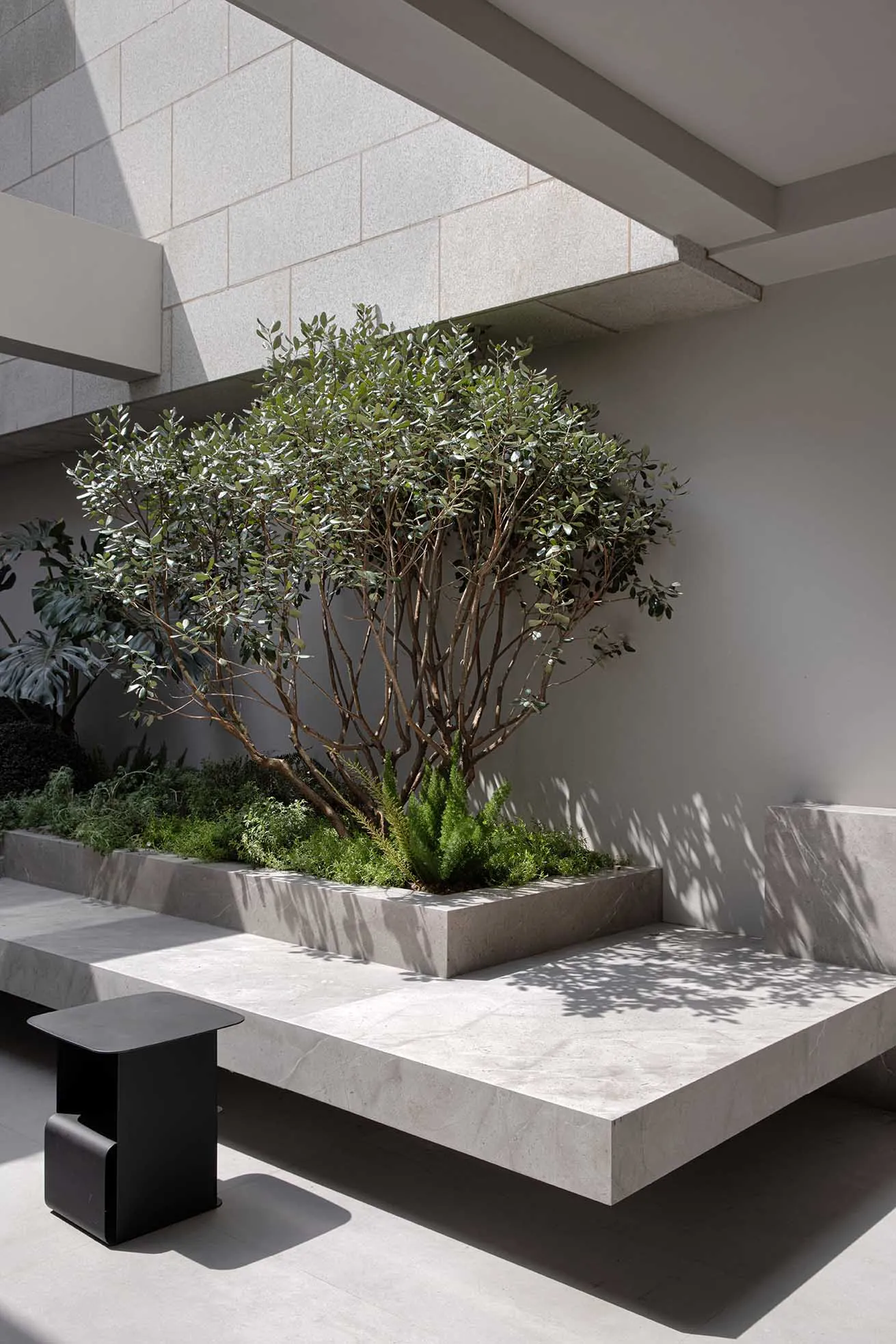 Concrete planters with green foliage in an architectural setting.