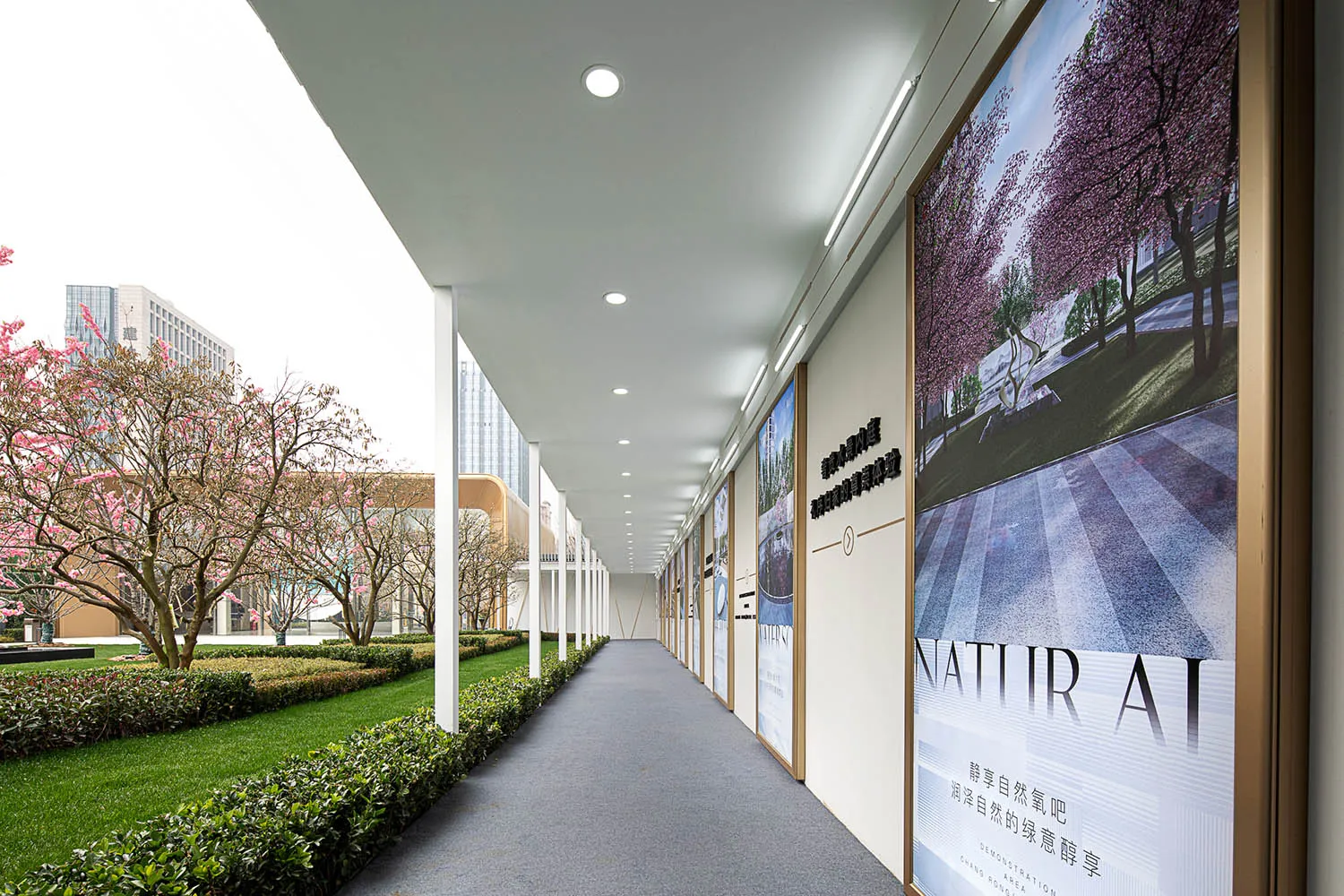 A modern, white-plastered corridor with pink flowering trees and a view of a building with a glass façade.